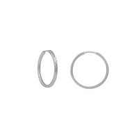 с025-163 Серьги (Ag 925)