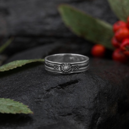 8101-014 Кольцо (Ag 925) фото 2